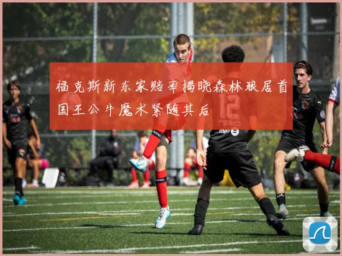 福克斯新东家赔率揭晓森林狼居首国王公牛魔术紧随其后